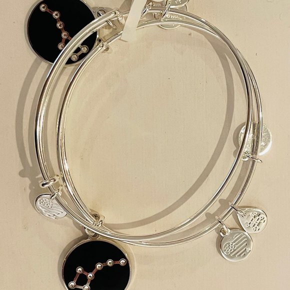 Alex and Ani Big and Little Dipper,shiny silvertone, black enamel, set of 2 - Picture 2 of 16